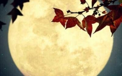 November full moon