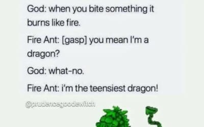 You are the tiniest dragon